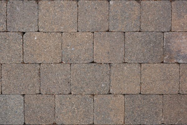 0092 Tegula Bracken