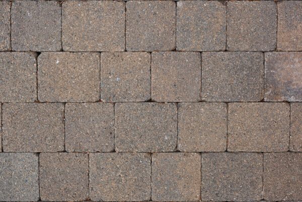 0092 Tegula Bracken