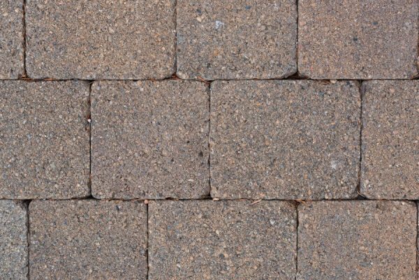 0093 Tegula Bracken
